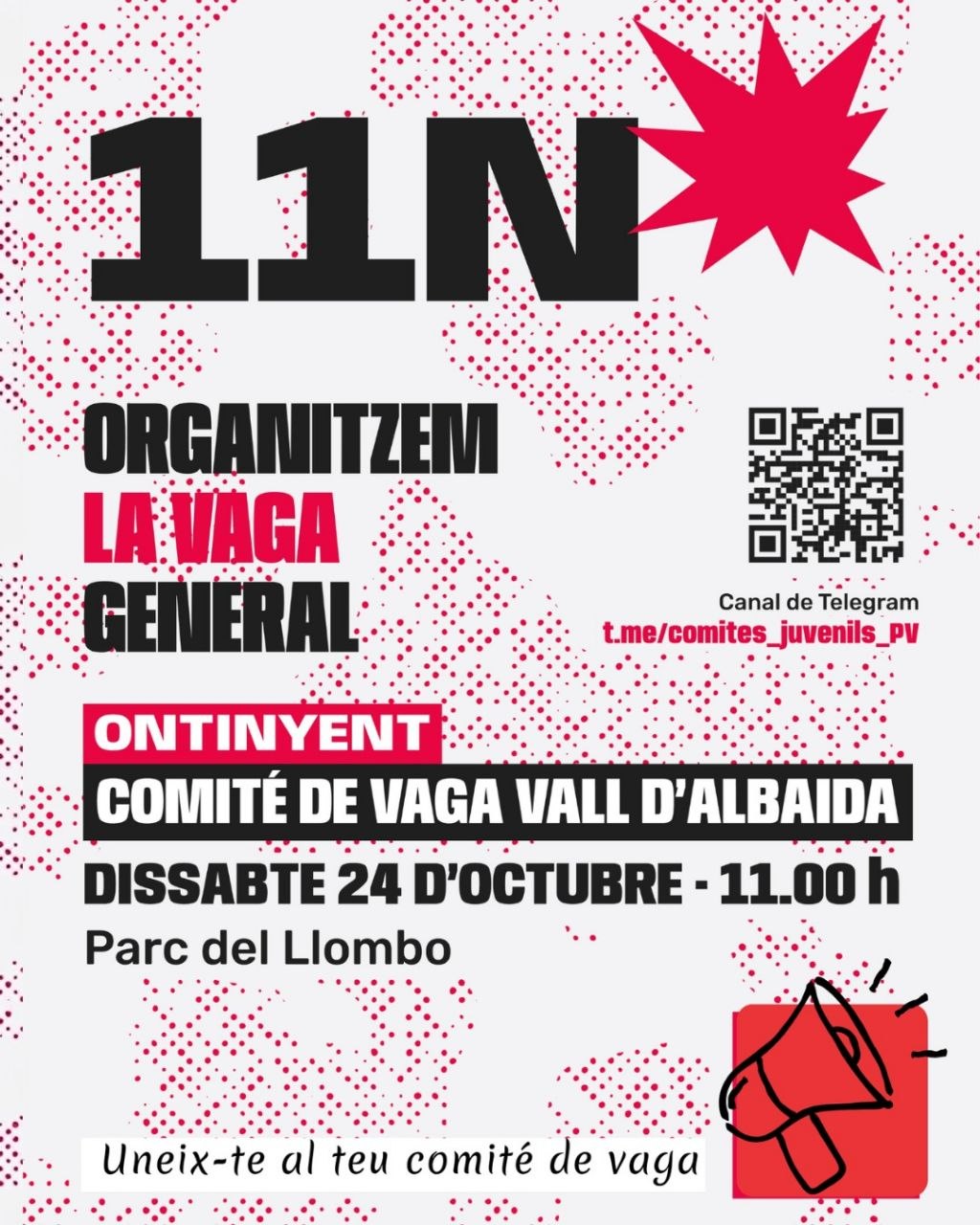 Comite de vaga Vall d’Albaida